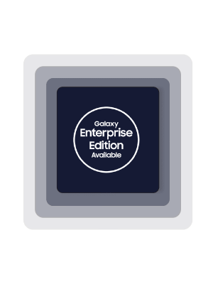 Enterprise Badge@2x